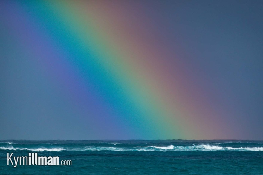 THE UNITED COLOURS OF LANCELIN | Lancelin.com.au